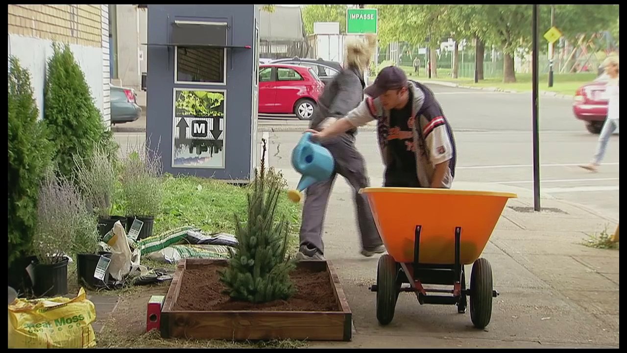 Christmas Tree Becomes MASSIVE- Throwback Thursday