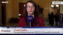 Cécile Duflot - Terrorisme : « Les moyens dont nous disposons sont suffisants »