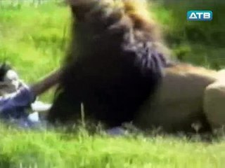 Прыгнул в вольер ко льву!