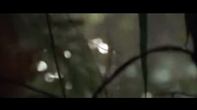 마카오바카라ゆ㈜..TNT900、COM..↘い바카라양방が바카라노하우