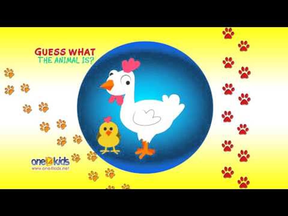 Guess What the Animal is? 2 (Zaky Game)