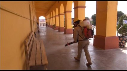 México combate eficazmente el zika gracias a experiencia con el chikunguña_