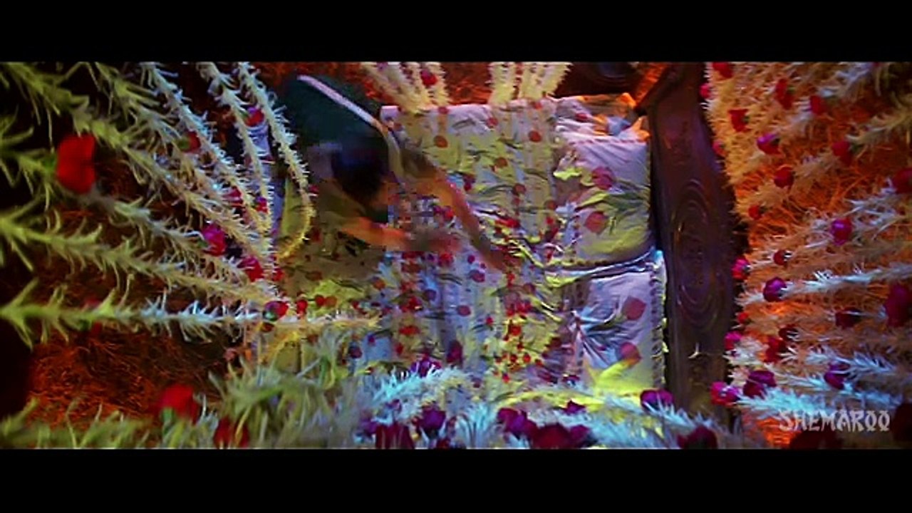 Raja Chalo Akele - Govinda - Raveena Tandon - Rajaji - Alka Yagn