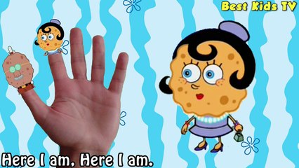 SpongeBob - Finger Family Song Nursery Rhymes - SpongeBob Family Finger