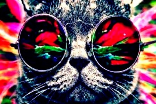 Trancity [Dj Catan Track]