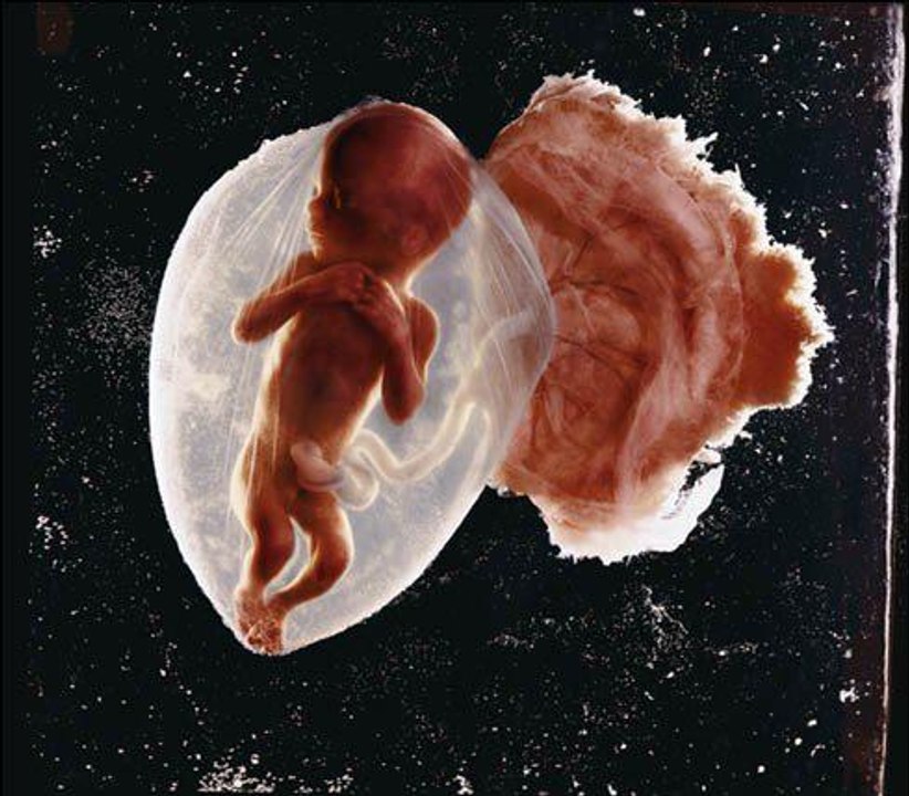 How life began, Full documentary