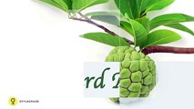 Benefits Of Custard Apples