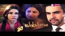 Yeh Mera Deewanapan Hai Last Episode 48