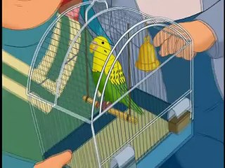 Lauras Stern 28 Höhenangst