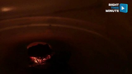 Putting Meteorites in The Microwave, Because Science