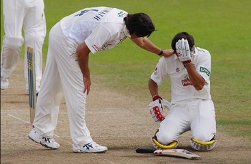 Cricket can Harmless  Harmless Cricket