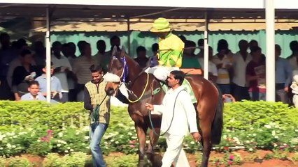 Should India relax a ban on gambling on cricket?