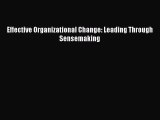 [PDF Download] Effective Organizational Change: Leading Through Sensemaking [Download] Online