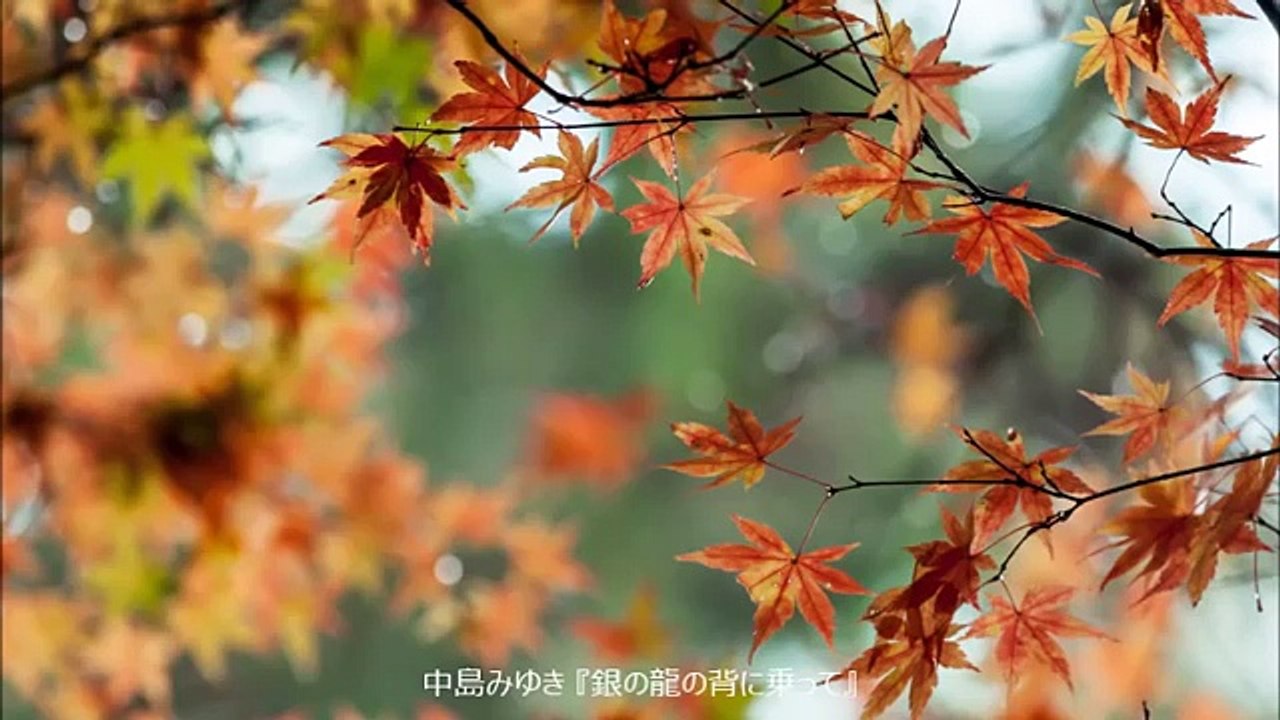 銀の龍の背に乗って 中島みゆき By 歌姫 Dailymotion Video