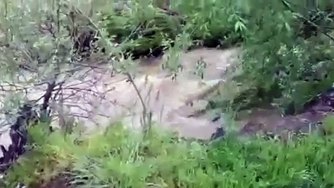 flood river in Gjilan-LIVE
