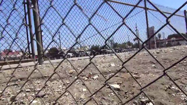 He Was Abandoned And Thrown Away In The Wilderness. See What Happened When He Was Rescued…