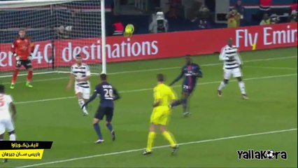 Top 5 Goals Ligue 1 Round 24
