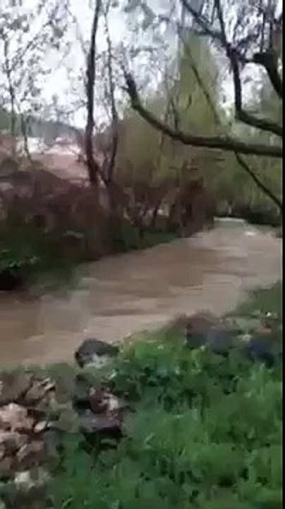 River flood