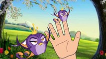 Angry Birds Finger Family Song Angry Birds Finger Family Song Angry Birds Finger Family Song