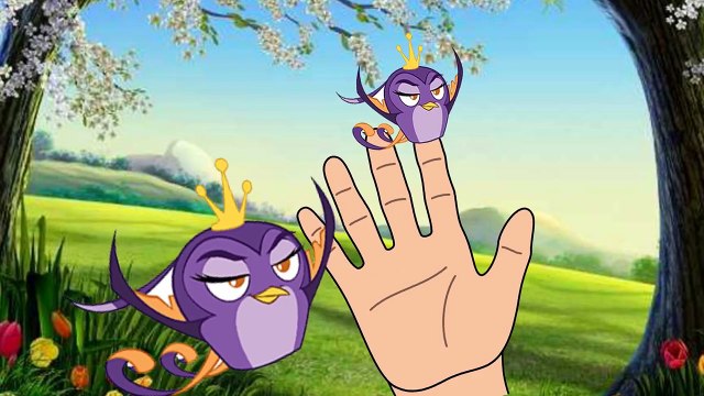 Angry Birds Finger Family Song Angry Birds Finger Family Song Angry Birds Finger Family Song