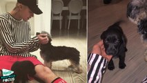 Justin Bieber Brings a New Puppy to His Family