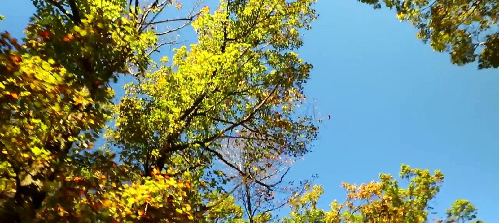 Catey Shaw - Night Go Slow