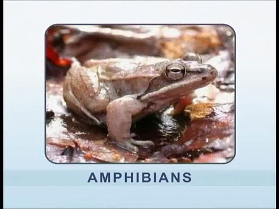 Freshwater Biomes Song