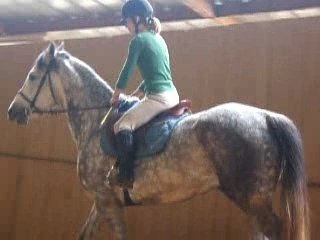 vanessa et mustang départ o galop