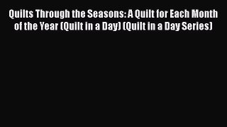 Quilts Through the Seasons: A Quilt for Each Month of the Year (Quilt in a Day) (Quilt in a