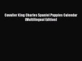 [PDF Download] Cavalier King Charles Spaniel Puppies Calendar (Multilingual Edition) [PDF]
