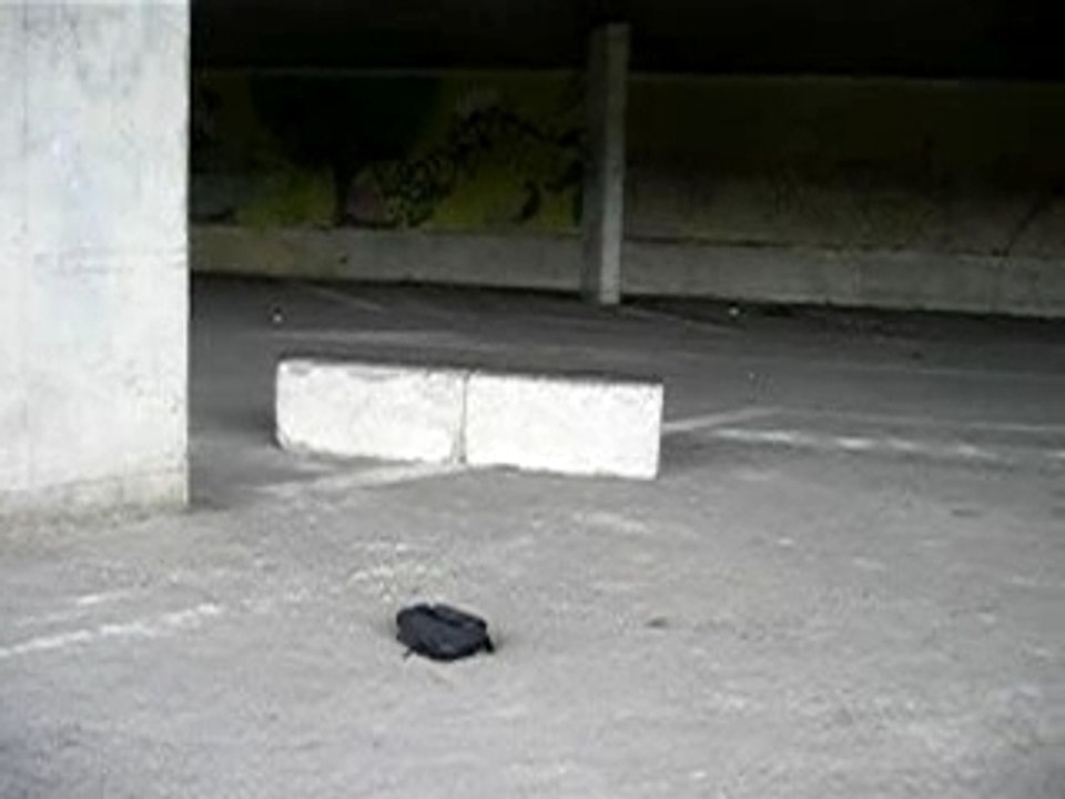 Skate plan b danny way 004