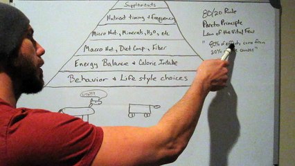 1 Muscle and Strength Nutritional Pyramid Overview