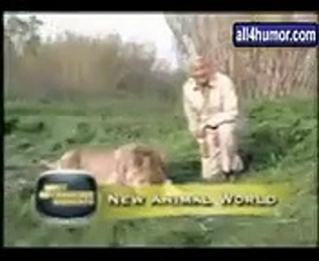 Funny Animals