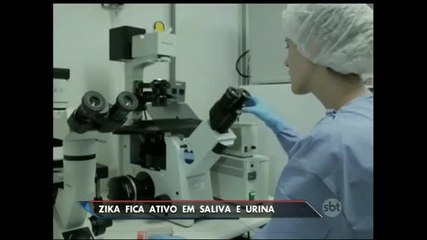 Zika vírus fica ativo em saliva e urina de pessoas que estão com a doença