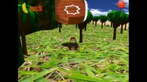 [Vinesauce] Vinny - DKC2: Diddys Kong Quest 3D Episode 1