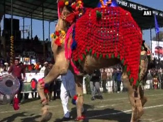 ‘Rural Olympics’ attract stuntmen, performers from Raipur