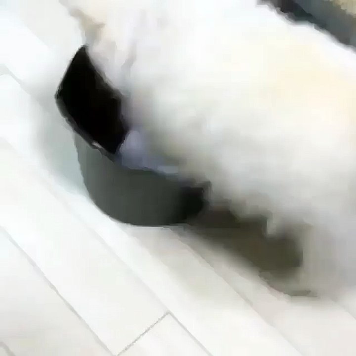 Милота❤️