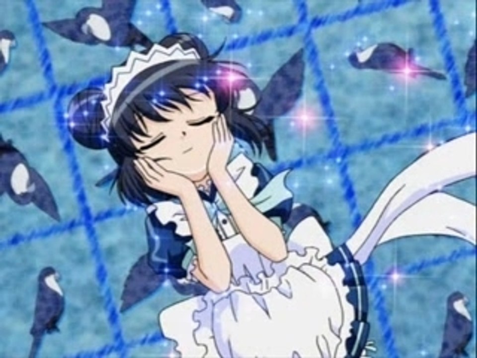 AMV CORINA MINT/MINTO