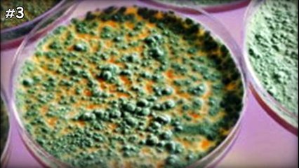 5 ЛЮДЕЙ, КОТОРЫE CПАСЛИ MИP!