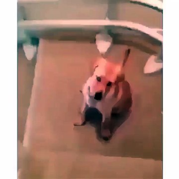 Вот так нужно спускаться