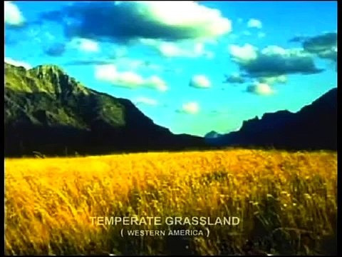 Biomes - Temprate Grassland - Part 1 Full animated cartoon movie hindi dubbed movies carto