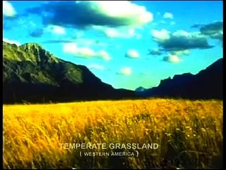 Biomes - Temprate Grassland - Part 1 Full animated cartoon movie hindi dubbed movies carto