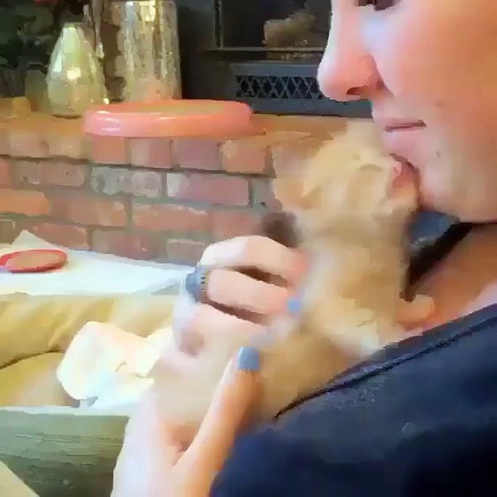 Мимишность зашкаливает❤️❤️
