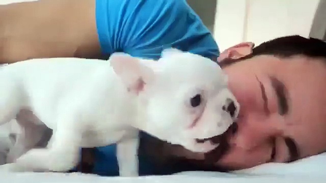 Мимими