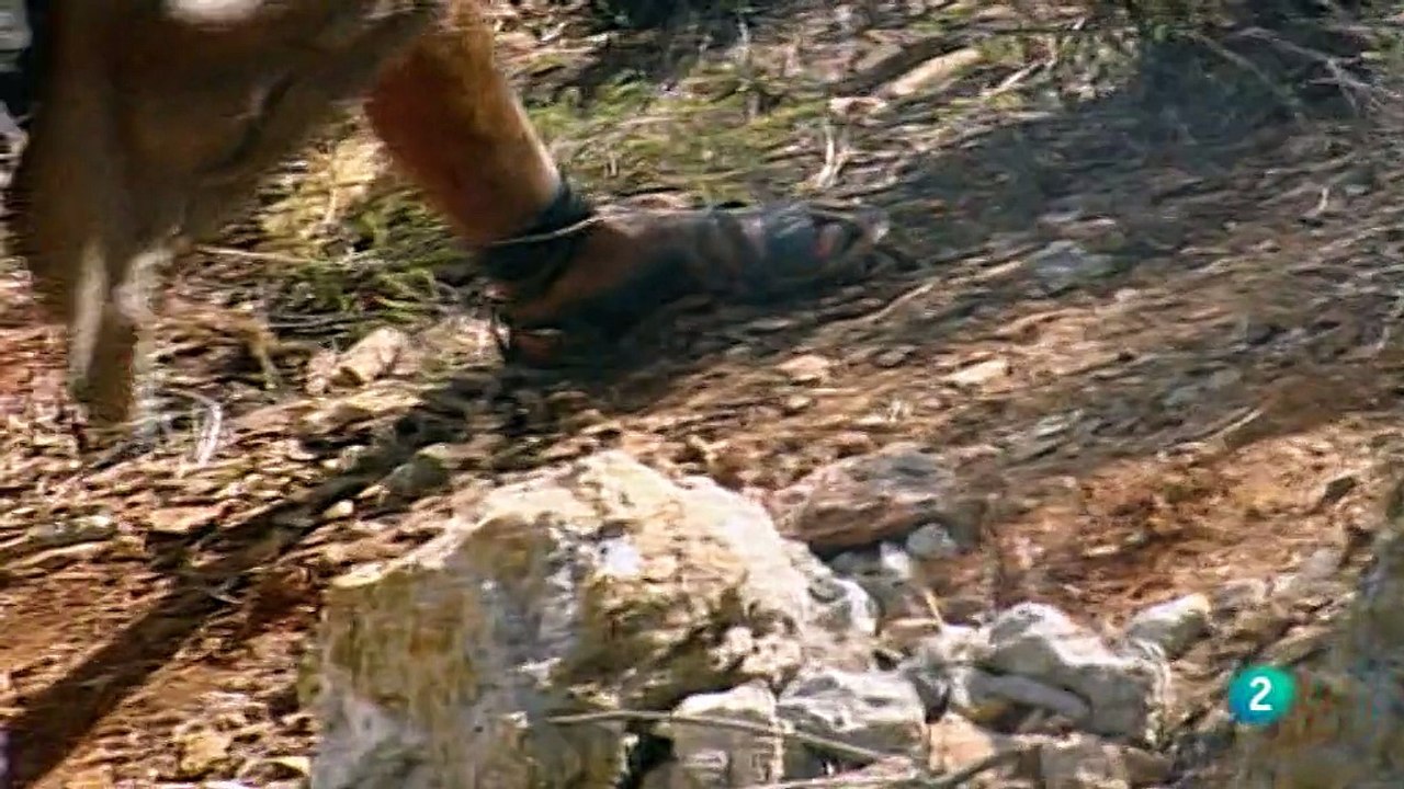 03 Memoria de España - Tarteso, el reino legendario de Argantorio