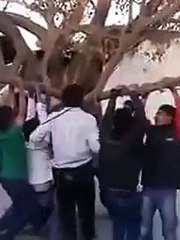 WhatsApp NonStop SuperFast Funny Videos