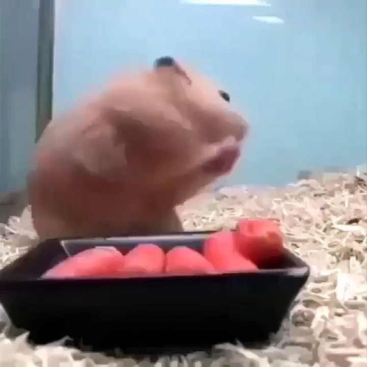 Красавчик☺️