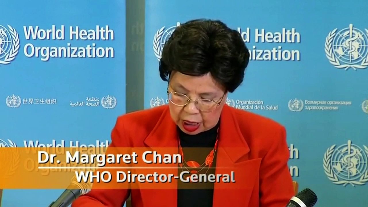 Zika virus WHO declares global public health emergency, says causal link to brain defects ‘strongly