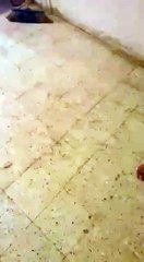 Funny Snake Prank with FRiends