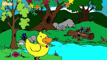 Cinco patitos Canciones infantiles en español Yleekids